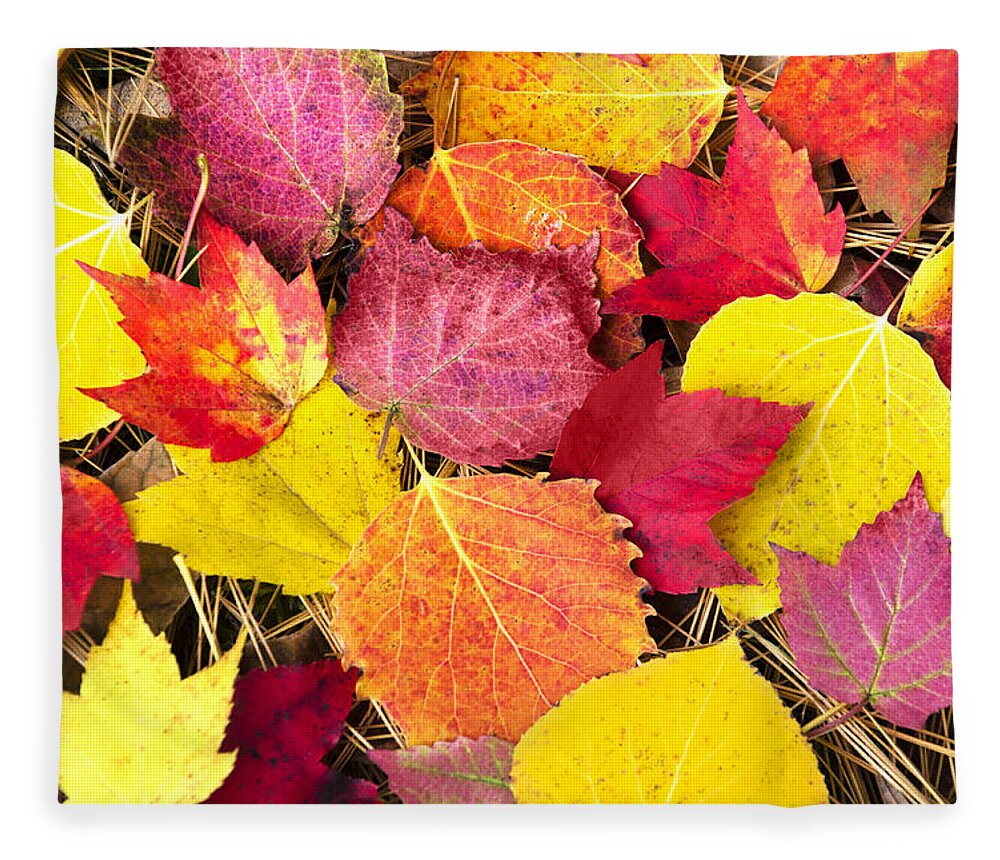 Fall Leaves Fleece Blanket featuring the photograph Colorful Autumn Leaves by Christina Rollo