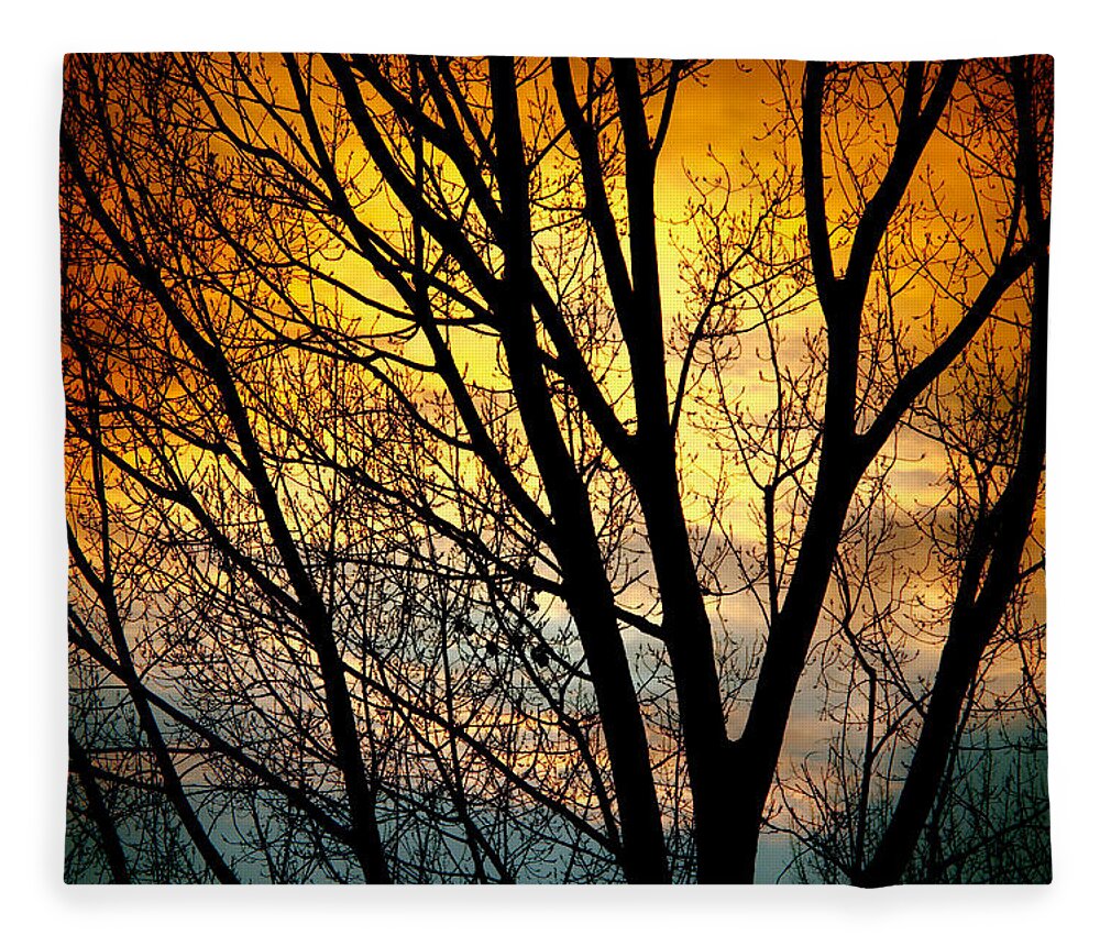 Sunsets Fleece Blanket featuring the photograph Colorful Sunset Silhouette by James BO Insogna