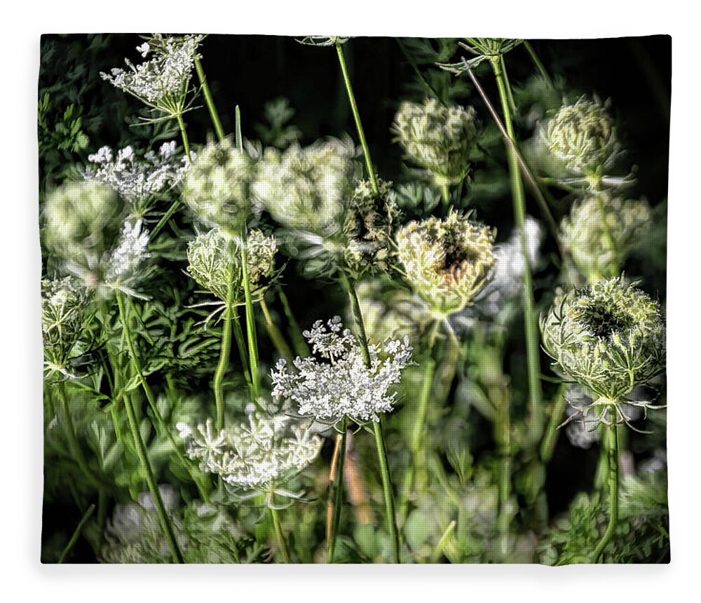 Queen Anne's Lace Fleece Blanket featuring the photograph Coming and Going - by Julie Weber