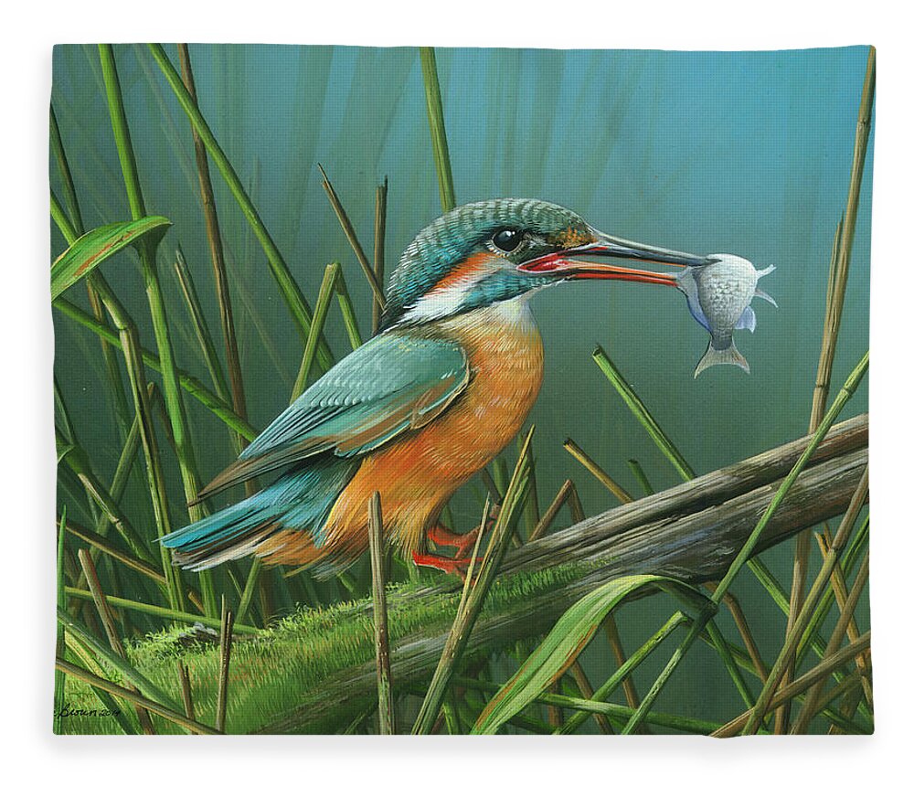 Common Kingfisher Fleece Blanket featuring the painting Common Kingfisher by Mike Brown