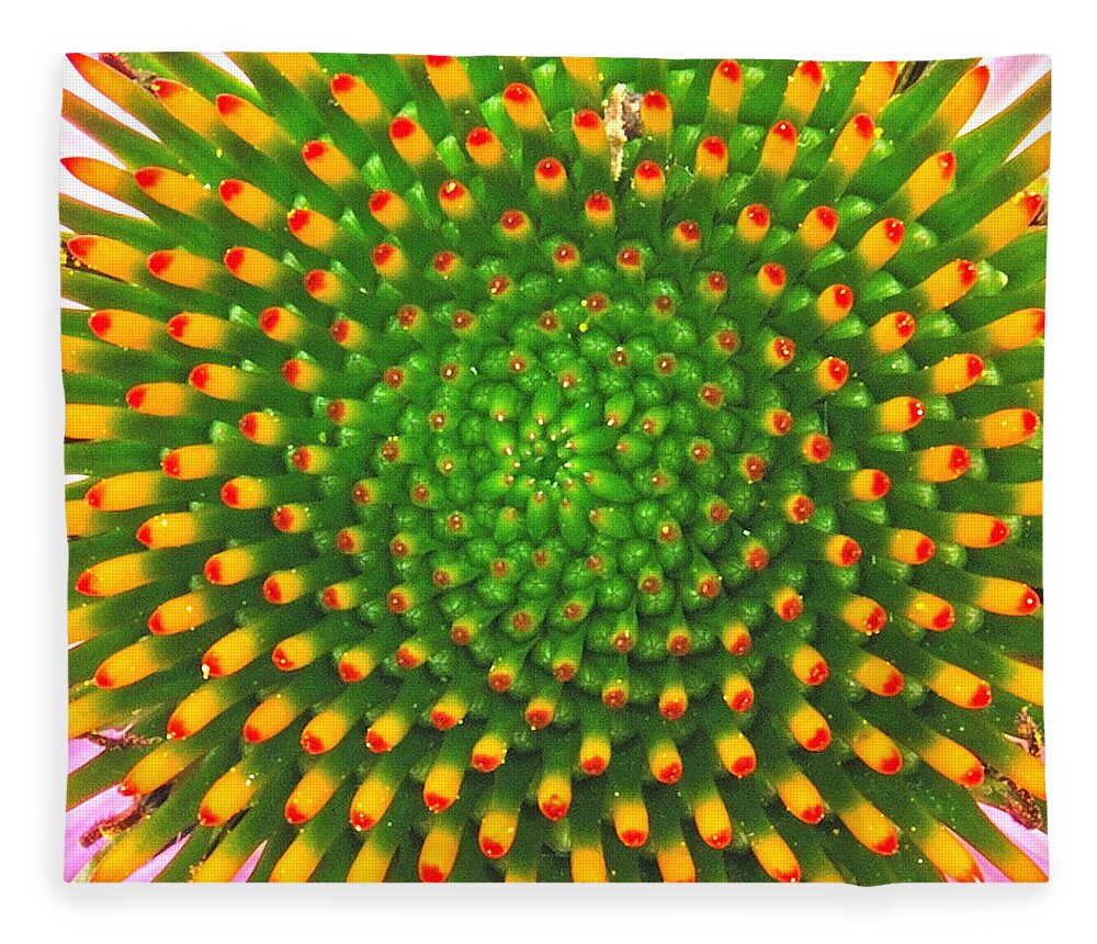 Flower Fleece Blanket featuring the photograph Cone Flower by Michael Peychich