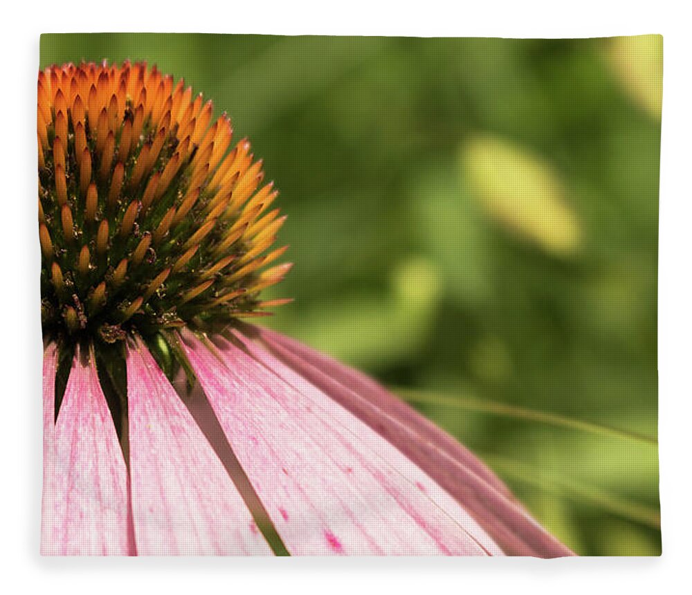 Wildflower Fleece Blanket featuring the photograph Coneflower by Holly Ross