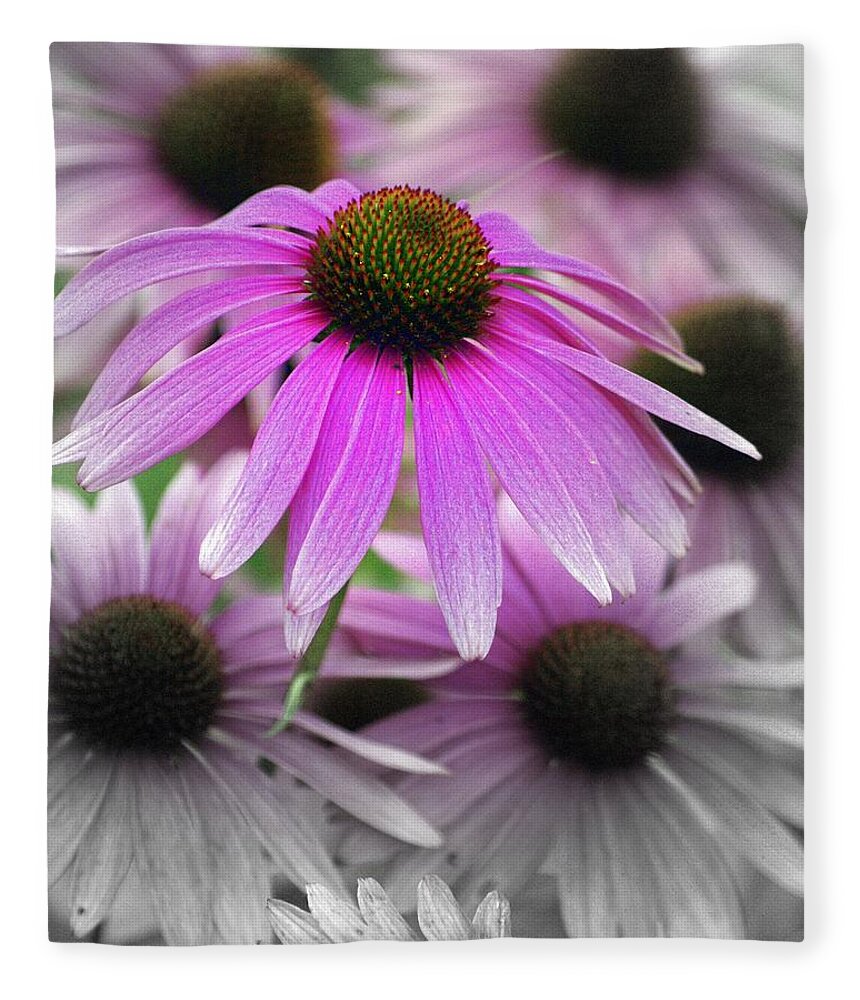 Flowers Fleece Blanket featuring the photograph Coneflowers by Marty Koch