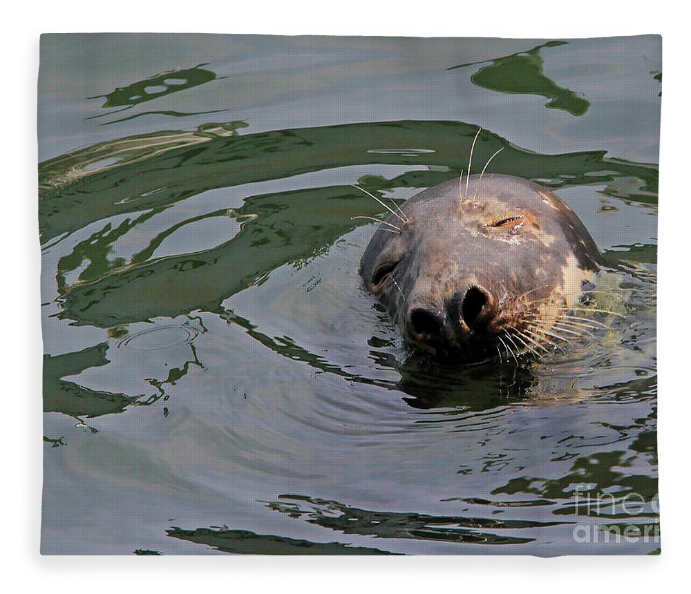 Seal.cape Cod Fleece Blanket featuring the photograph Contentment by Paula Guttilla