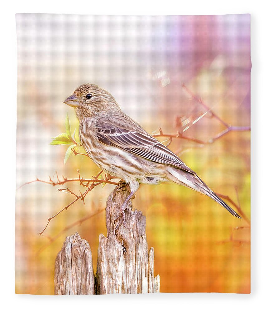 Finch Fleece Blanket featuring the photograph Cool Autumn Finch by Bill and Linda Tiepelman