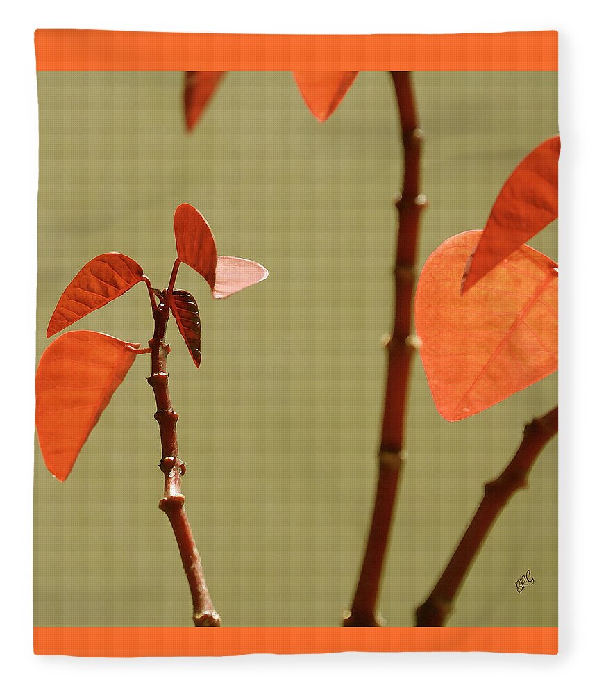 Orange Leaves Fleece Blanket featuring the photograph Copper Plant 2 by Ben and Raisa Gertsberg