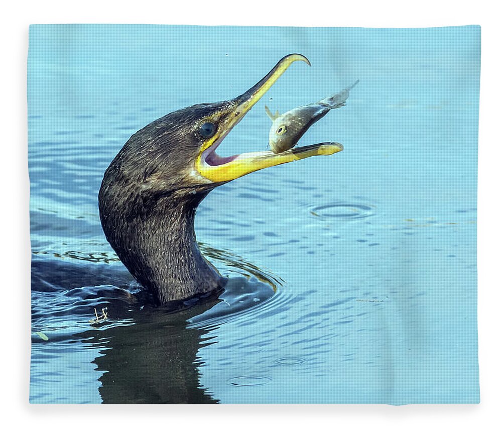 Cormorant Fleece Blanket featuring the photograph Cormorant with Fish 9306-120317-1cr by Tam Ryan