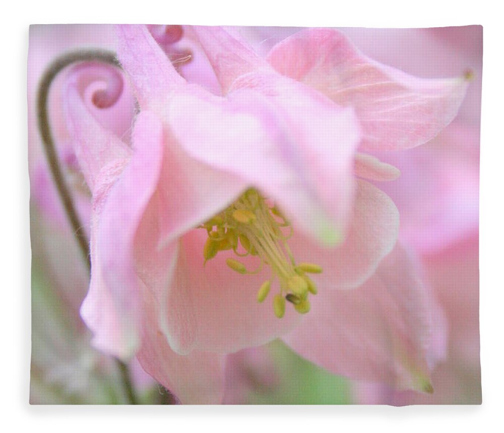 Flower Fleece Blanket featuring the photograph Cotton Candy by Julie Lueders 