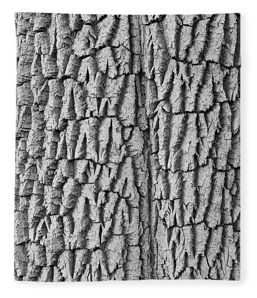 Texture Prints Fleece Blanket featuring the photograph Cottonwood Tree Texture Black and White Print by James BO Insogna