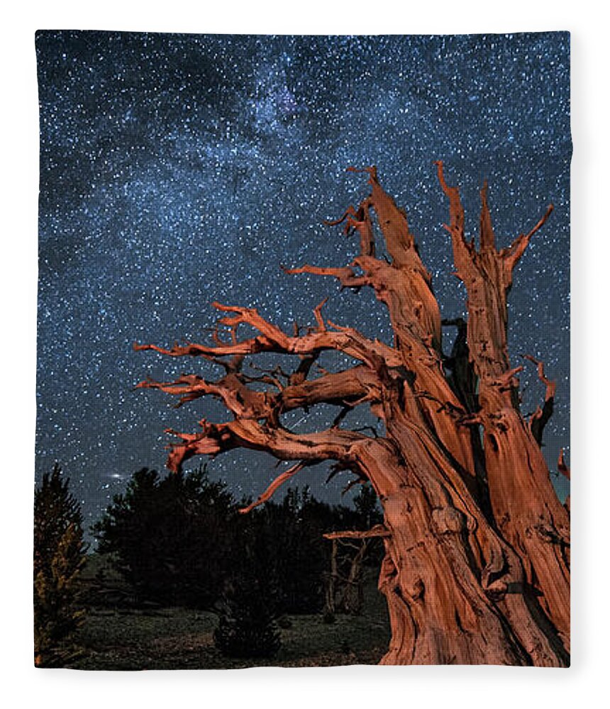 Stars Fleece Blanket featuring the photograph Countless Starry Nights by Melany Sarafis