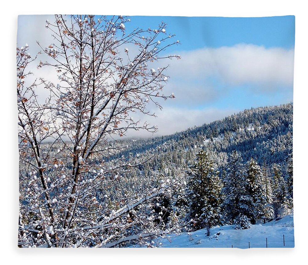 Countryside Fleece Blanket featuring the photograph Country Pastures by Will Borden