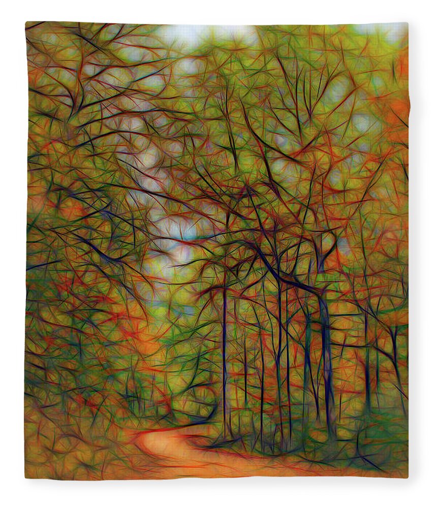 Fall Fleece Blanket featuring the photograph Country Road Variation 2 by Lorraine Baum