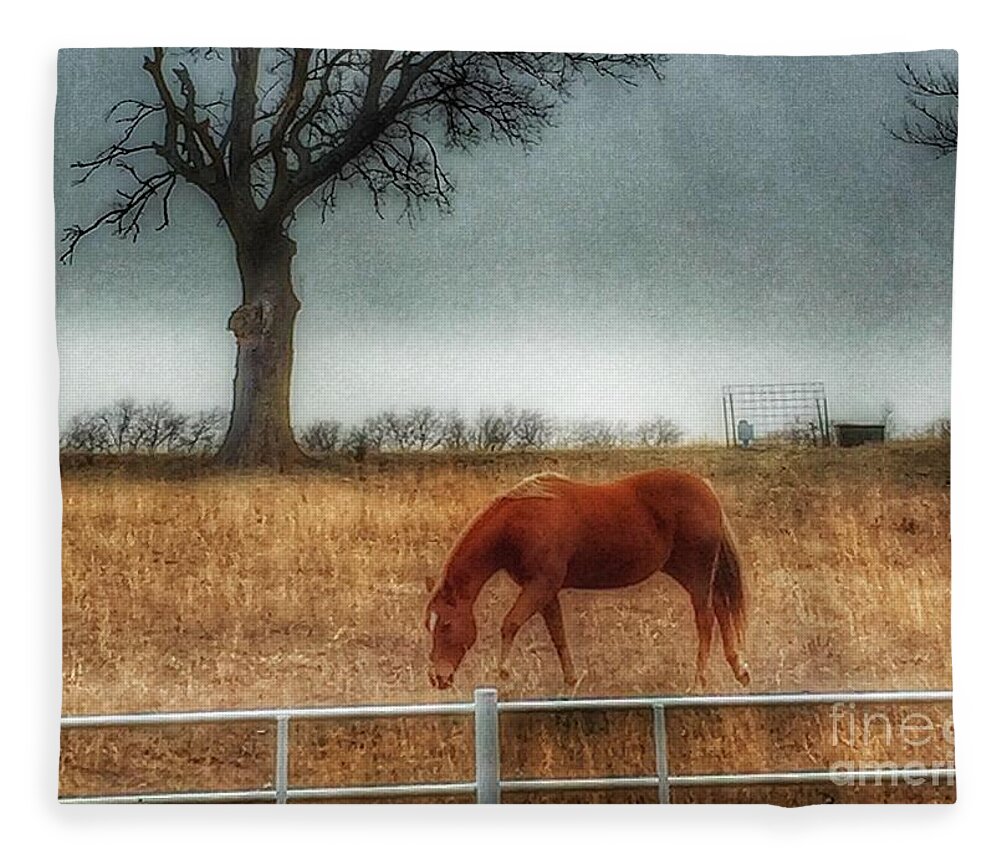 1000 Views Fleece Blanket featuring the photograph County Road 4100 by Jenny Revitz Soper