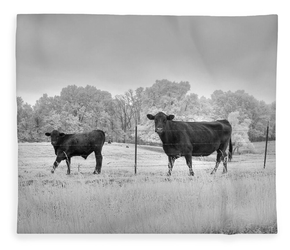 Cow Fleece Blanket featuring the photograph Cow by Jane Linders