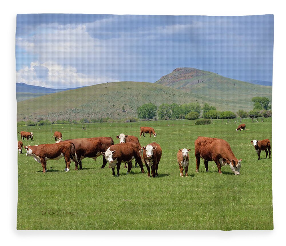 Cows Fleece Blanket featuring the photograph Cows and Calves by Kae Cheatham