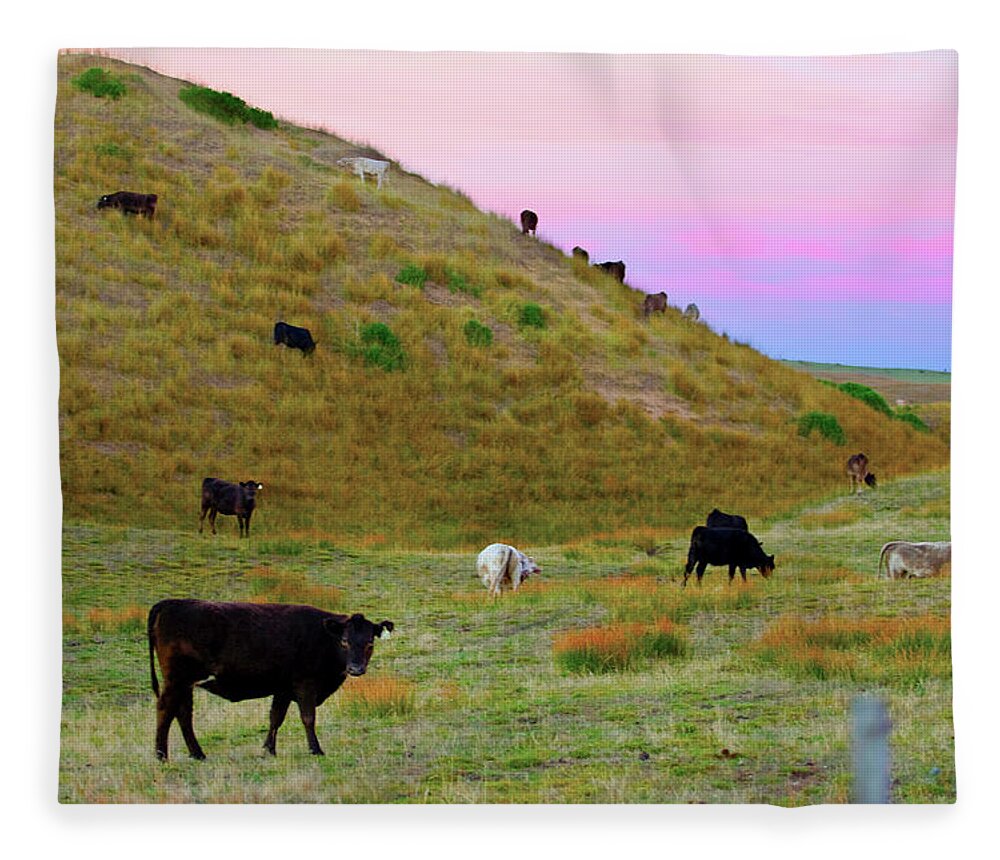 Grazing Fleece Blanket featuring the photograph Cows at Stokes Point, King Island. by Sean Davey
