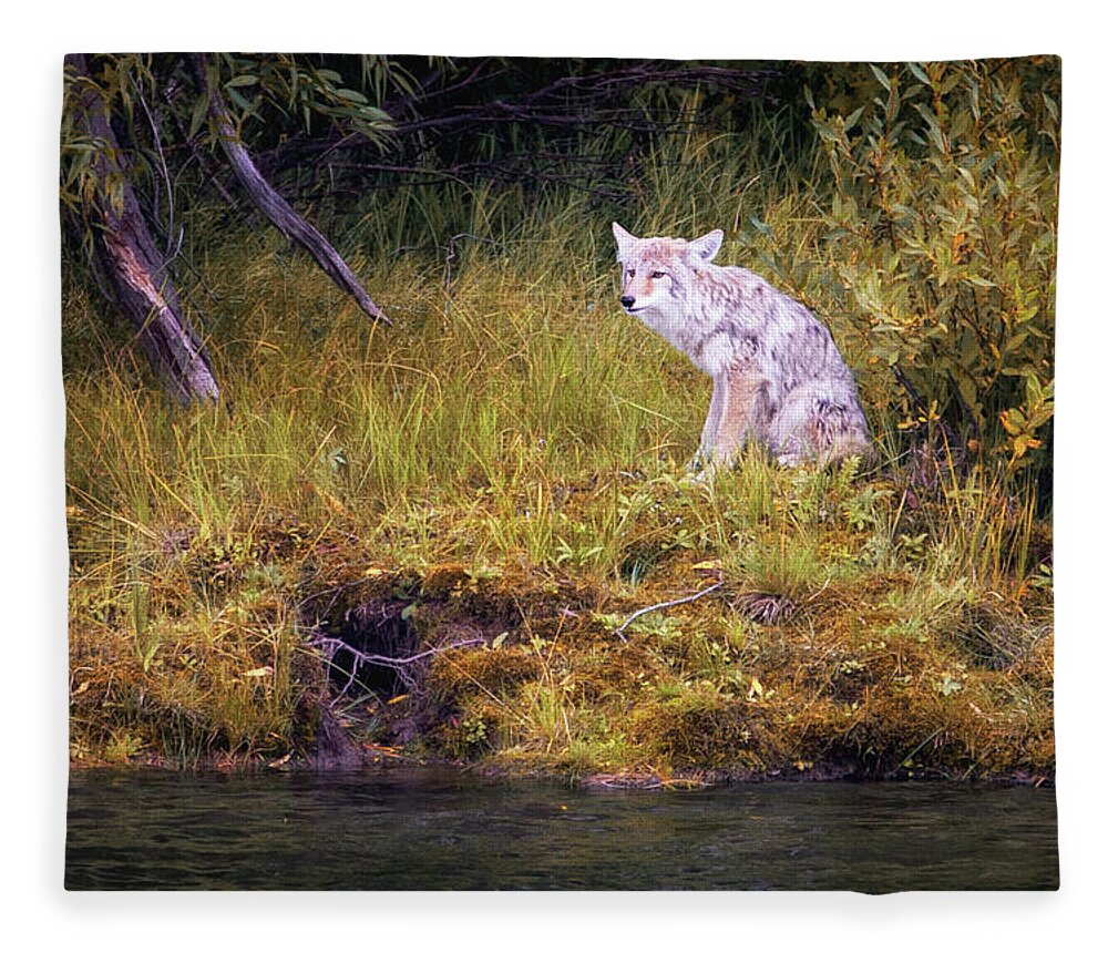 Aspen Fleece Blanket featuring the photograph Coyote by Alex Mironyuk