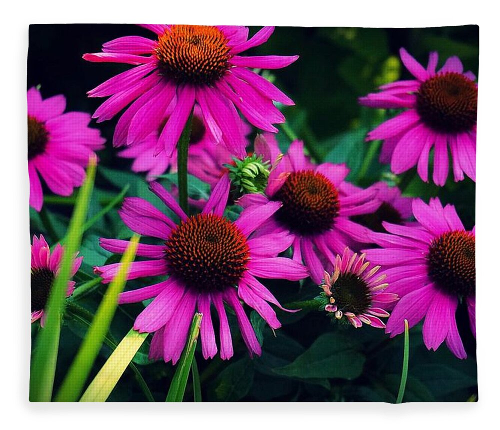  Fleece Blanket featuring the photograph Crazy for Coneflowers by Kendall McKernon