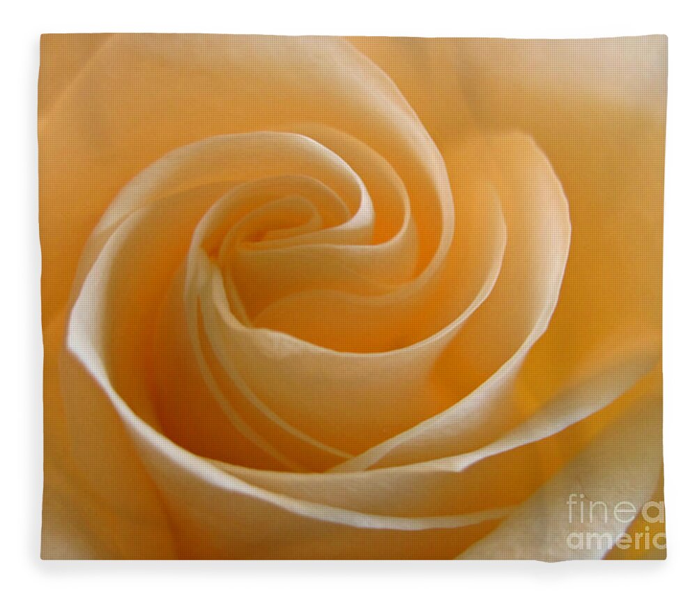 Rose Fleece Blanket featuring the photograph Cream Rose by Kelly Holm