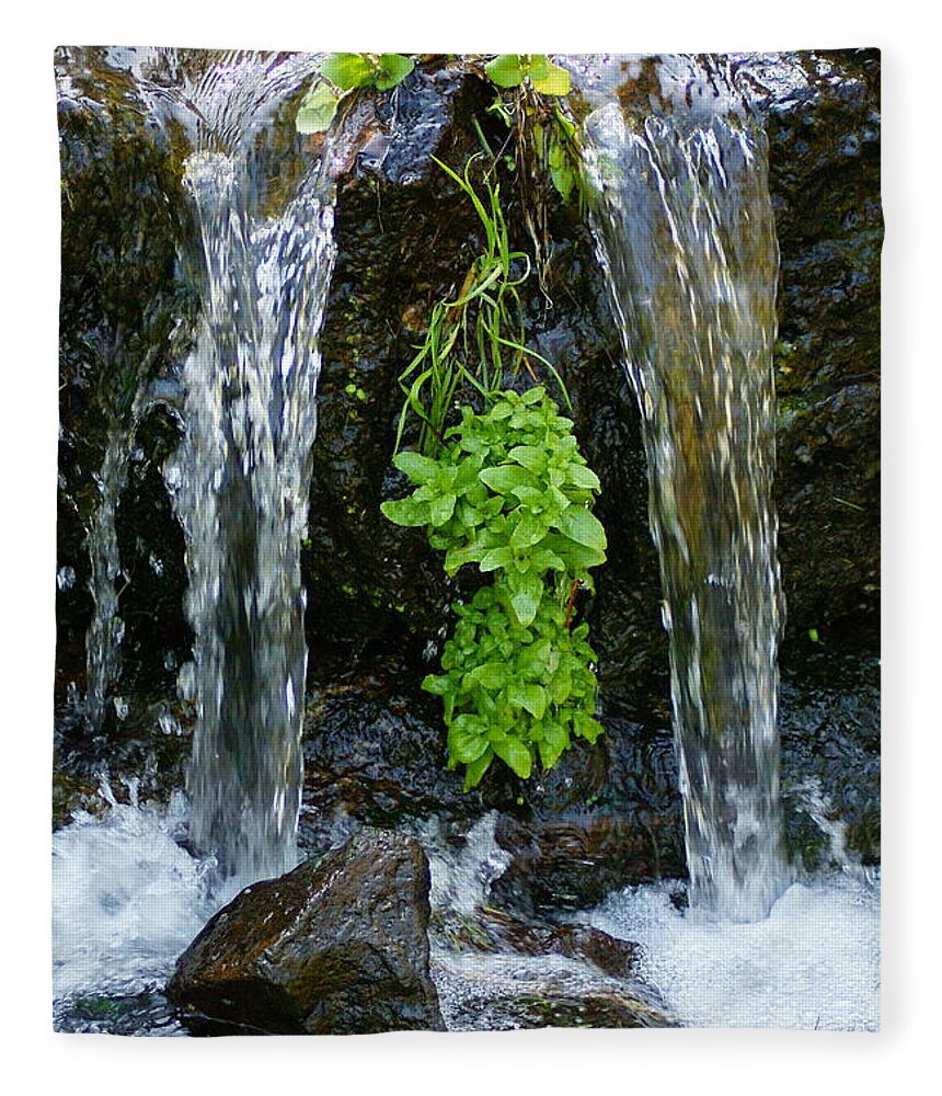 Creek Fleece Blanket featuring the photograph Creek Peace by Ben Upham III
