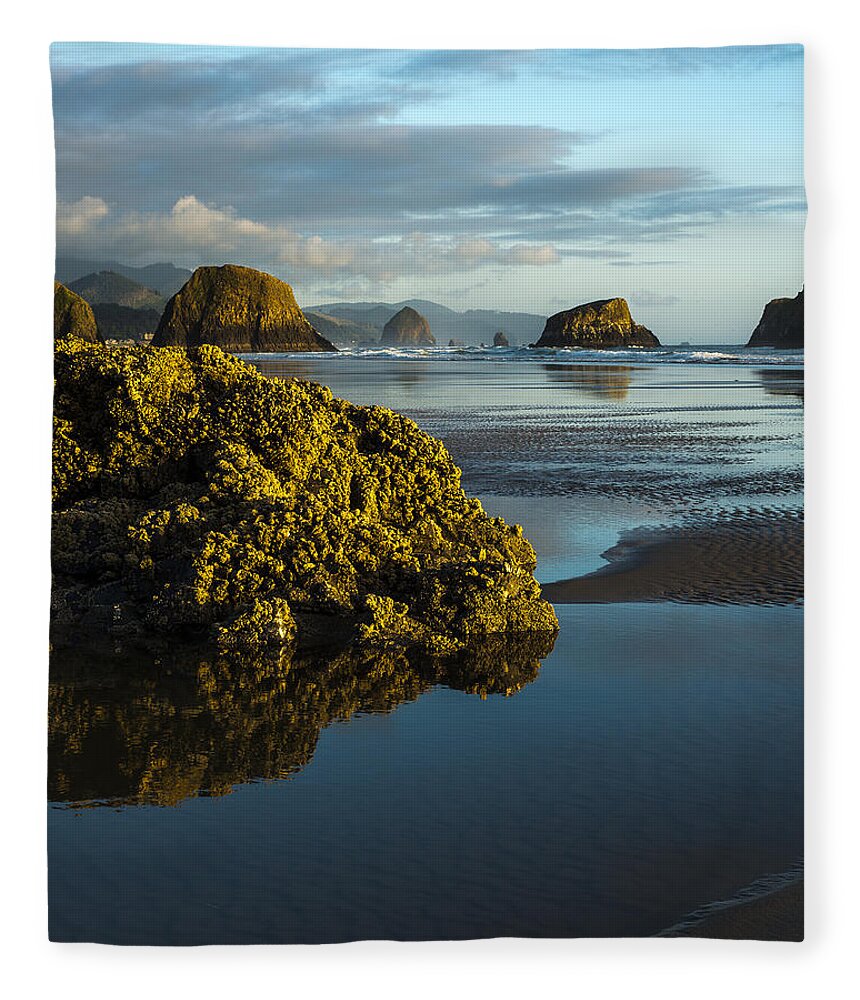 Beach Fleece Blanket featuring the photograph Crescent Beach by Robert Potts