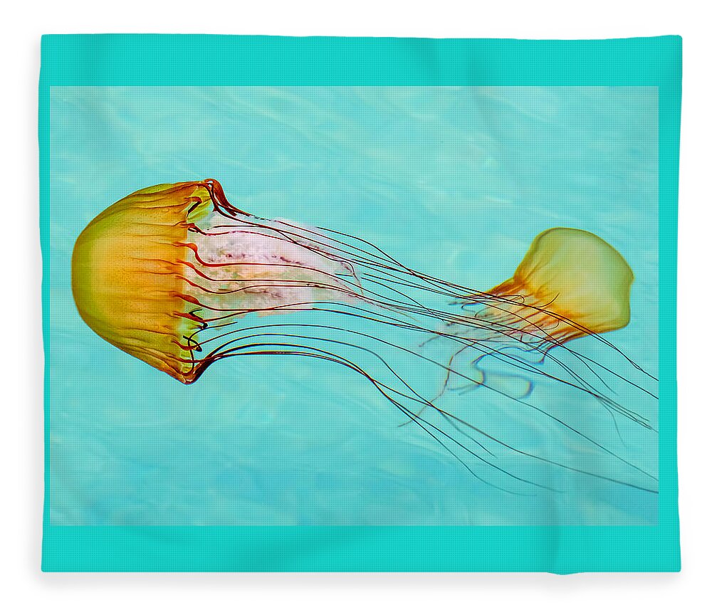 Jelly Fish Fleece Blanket featuring the photograph Criss Cross by Derek Dean