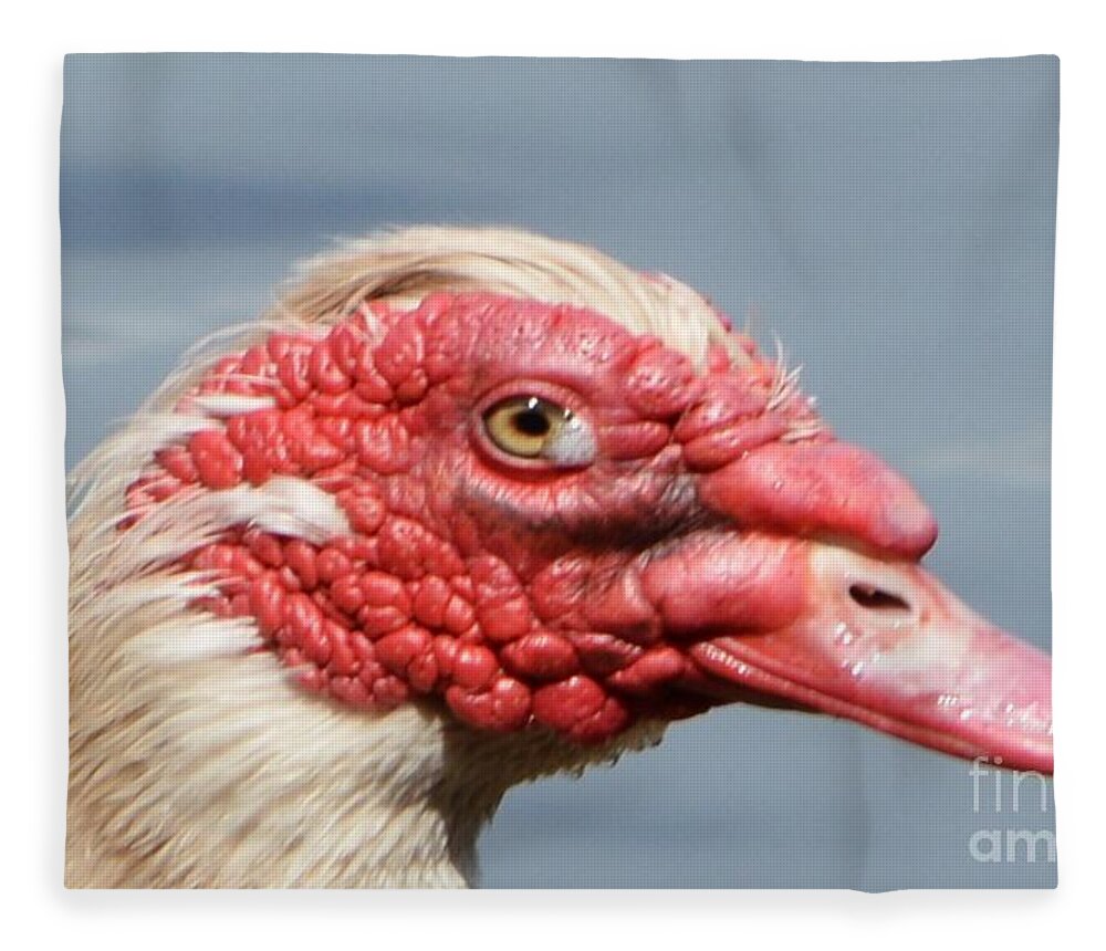 Geese Fleece Blanket featuring the photograph Crying Goose by Dani McEvoy