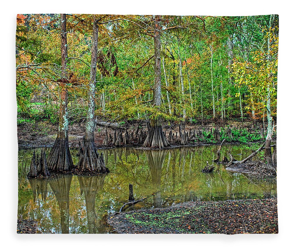 Cypress Fleece Blanket featuring the photograph Cypress In Autimn by Ron Weathers