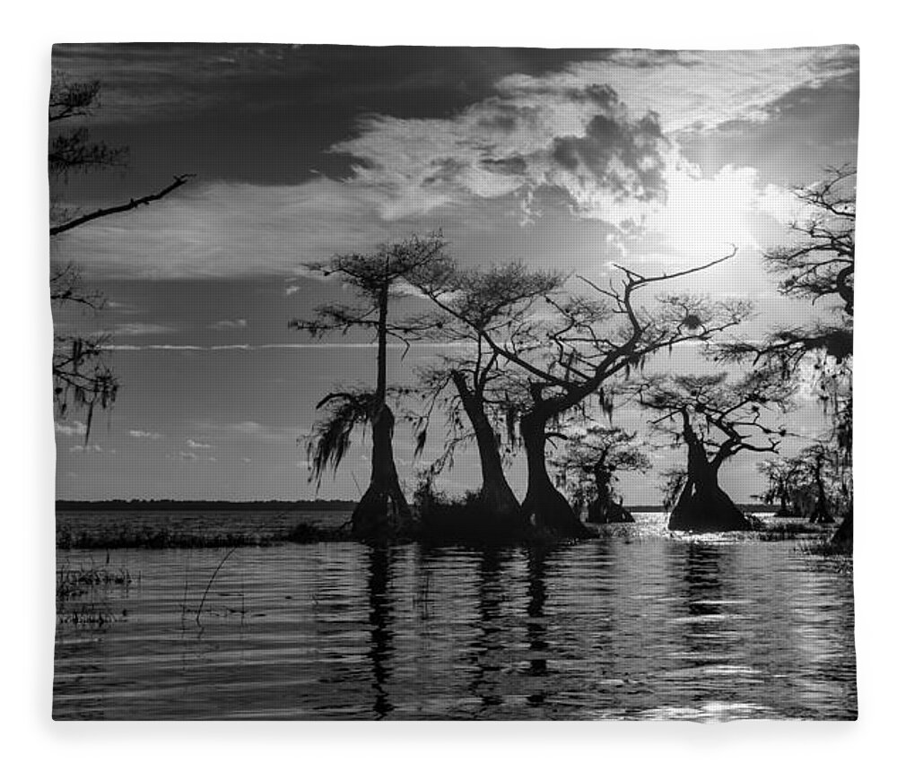 Florida Fleece Blanket featuring the photograph Cypress Reflections by Stefan Mazzola
