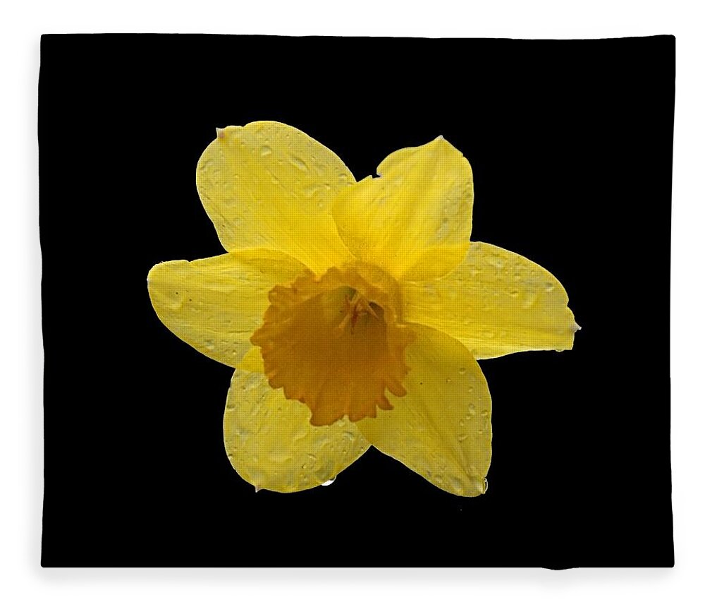 Spring Fleece Blanket featuring the photograph Daffodil by Newwwman