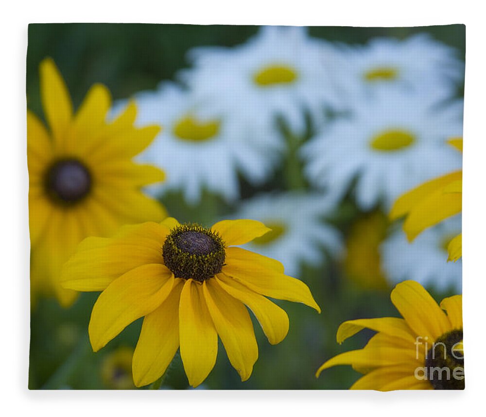 Daisy Fleece Blanket featuring the photograph Daisies by Idaho Scenic Images Linda Lantzy