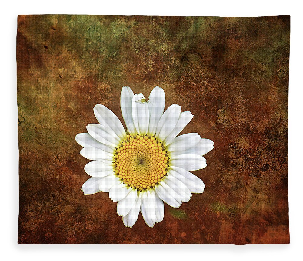 Daisy Flower Photography Fleece Blanket featuring the photograph Daisy Bug Photo Bomb Wall Art by Gwen Gibson