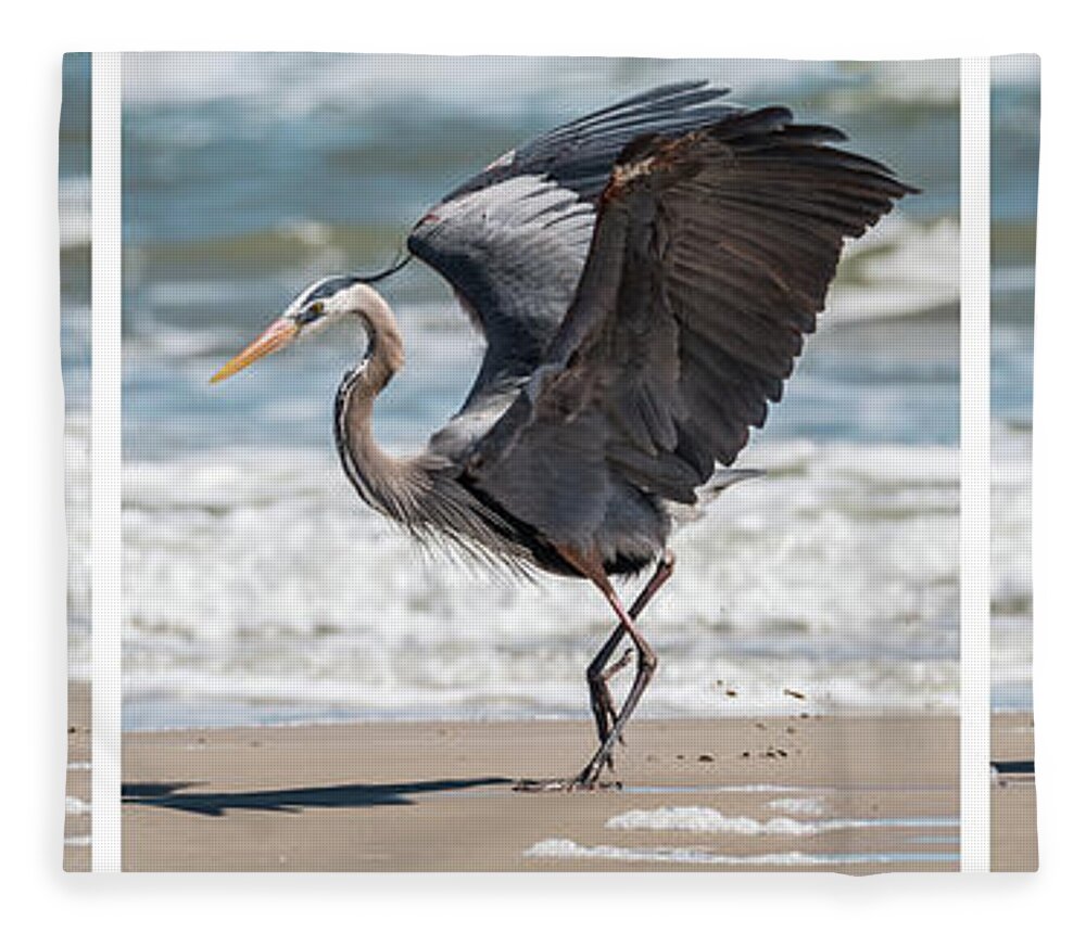 Great Blue Heron Fleece Blanket featuring the photograph Dancing Heron Triptych by Patti Deters