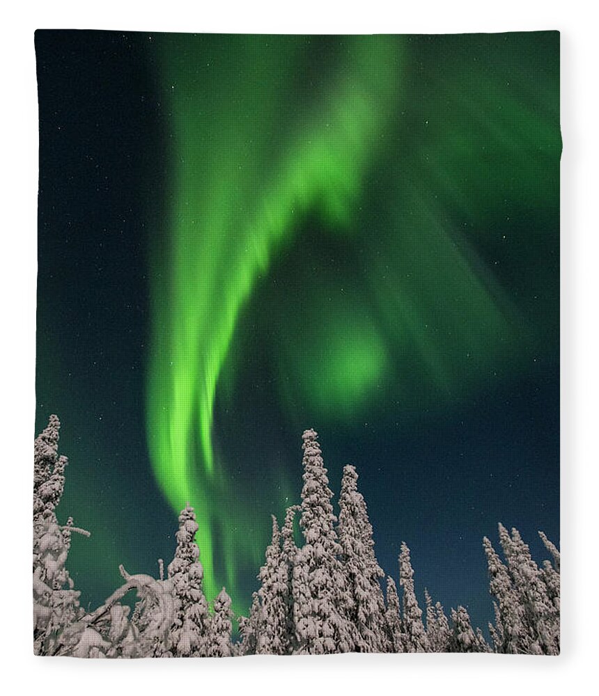 Alaska Fleece Blanket featuring the photograph Dancing the Night Away by Erika Fawcett
