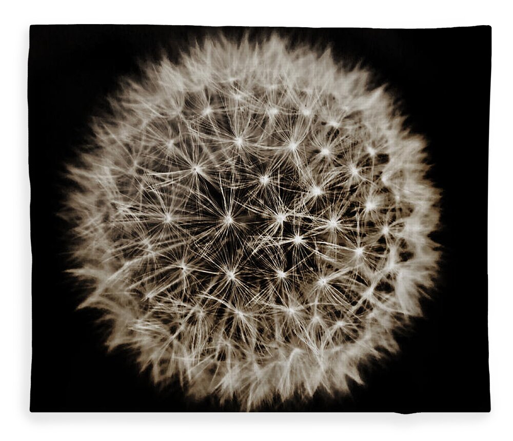 Dandelion Fleece Blanket featuring the photograph Dandelion Sun by Alex Art