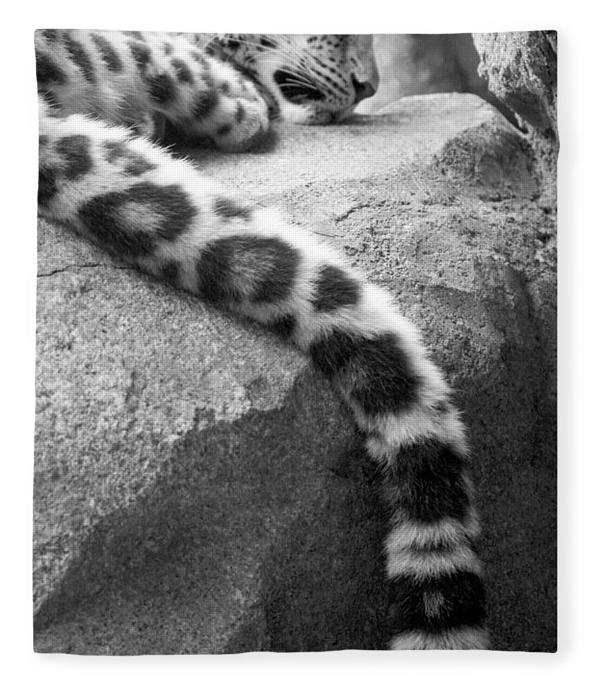 Leopard Fleece Blanket featuring the photograph Dangling and Dozing in Black and White by Mary Mikawoz