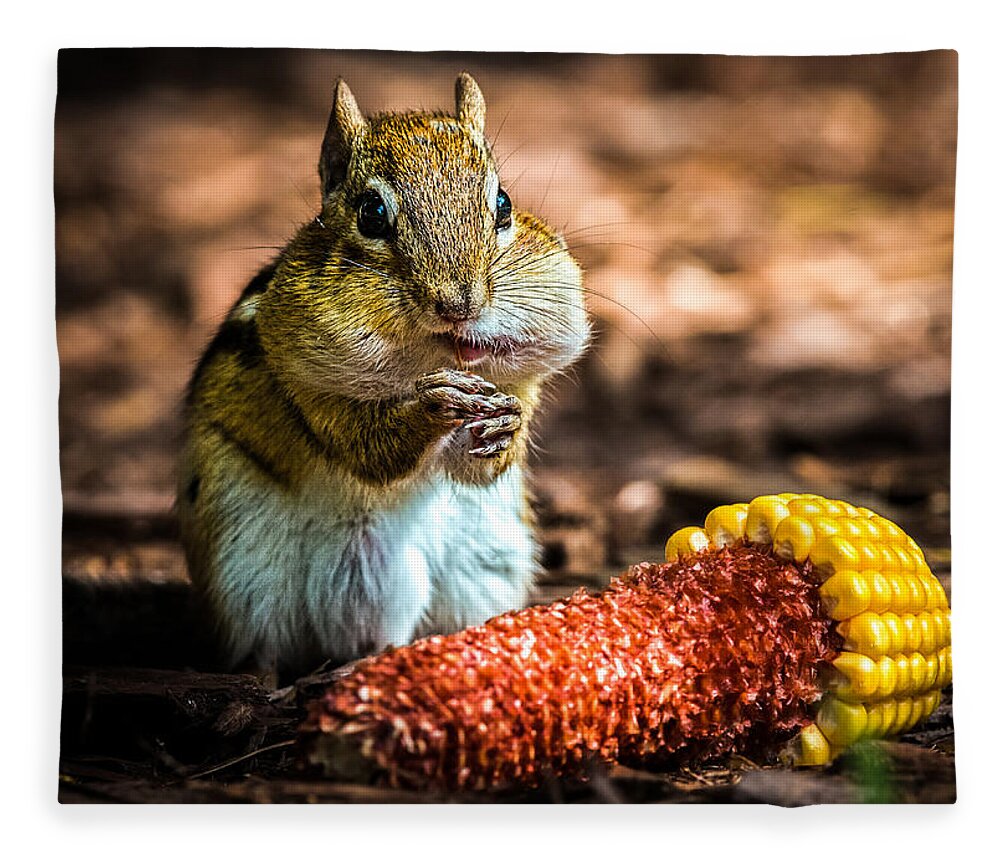 Chipmunk Fleece Blanket featuring the photograph Darn Good Corn by Bob Orsillo
