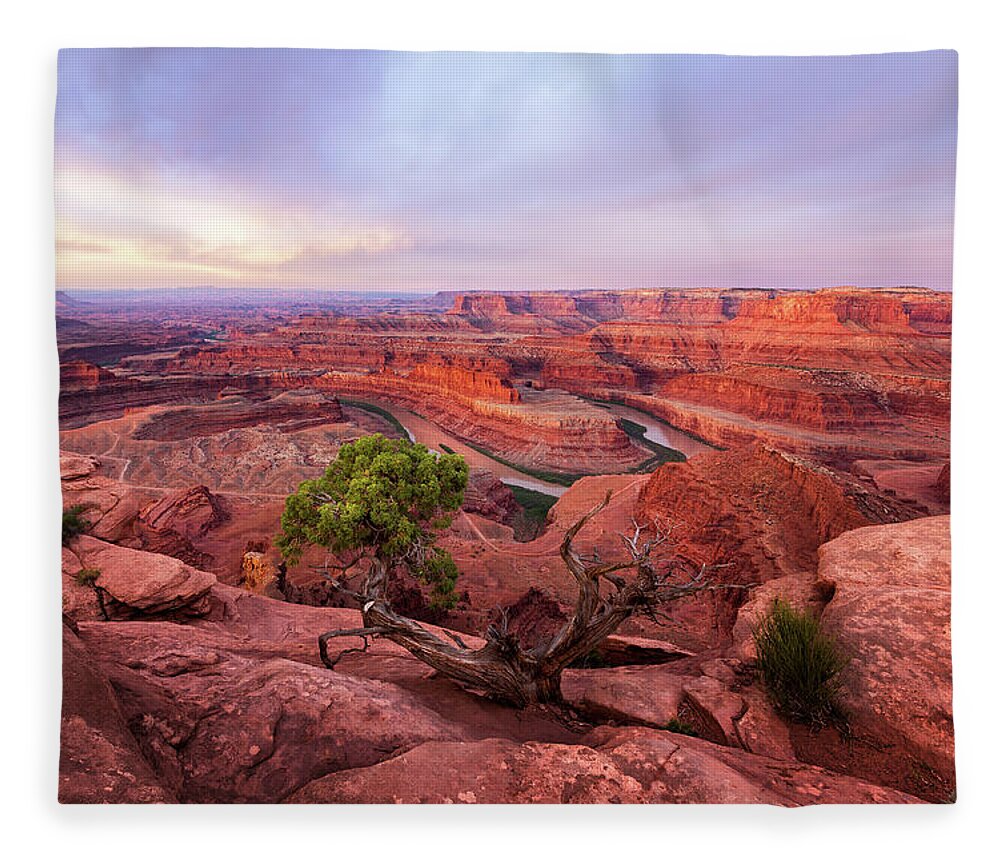 American Fleece Blanket featuring the photograph Dead Horse Point by Alex Mironyuk