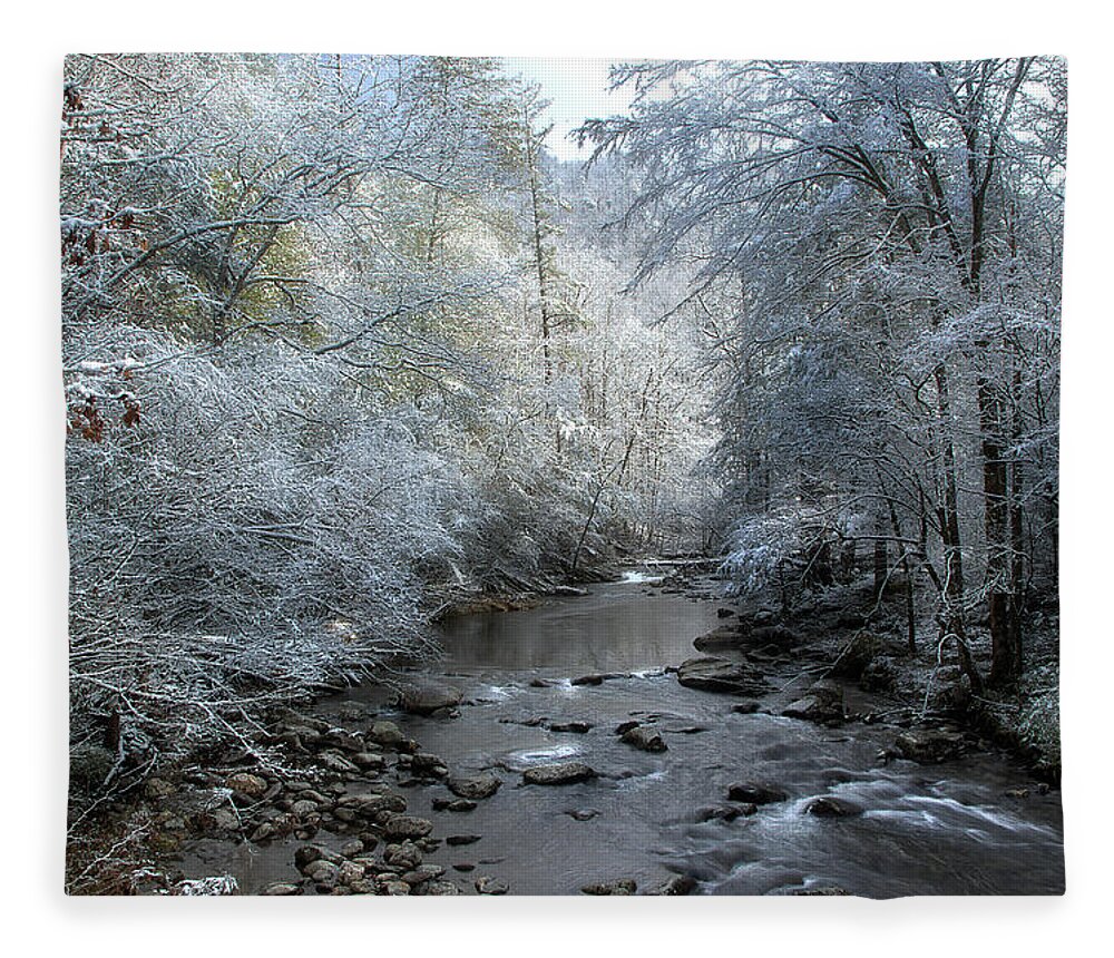 Winter Scene Fleece Blanket featuring the photograph December by Mike Eingle