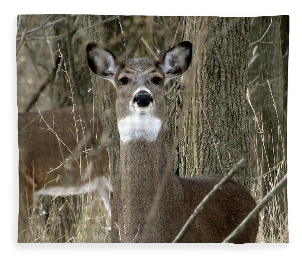 Deer Fleece Blanket featuring the photograph Deer in the Forest by Eric Switzer