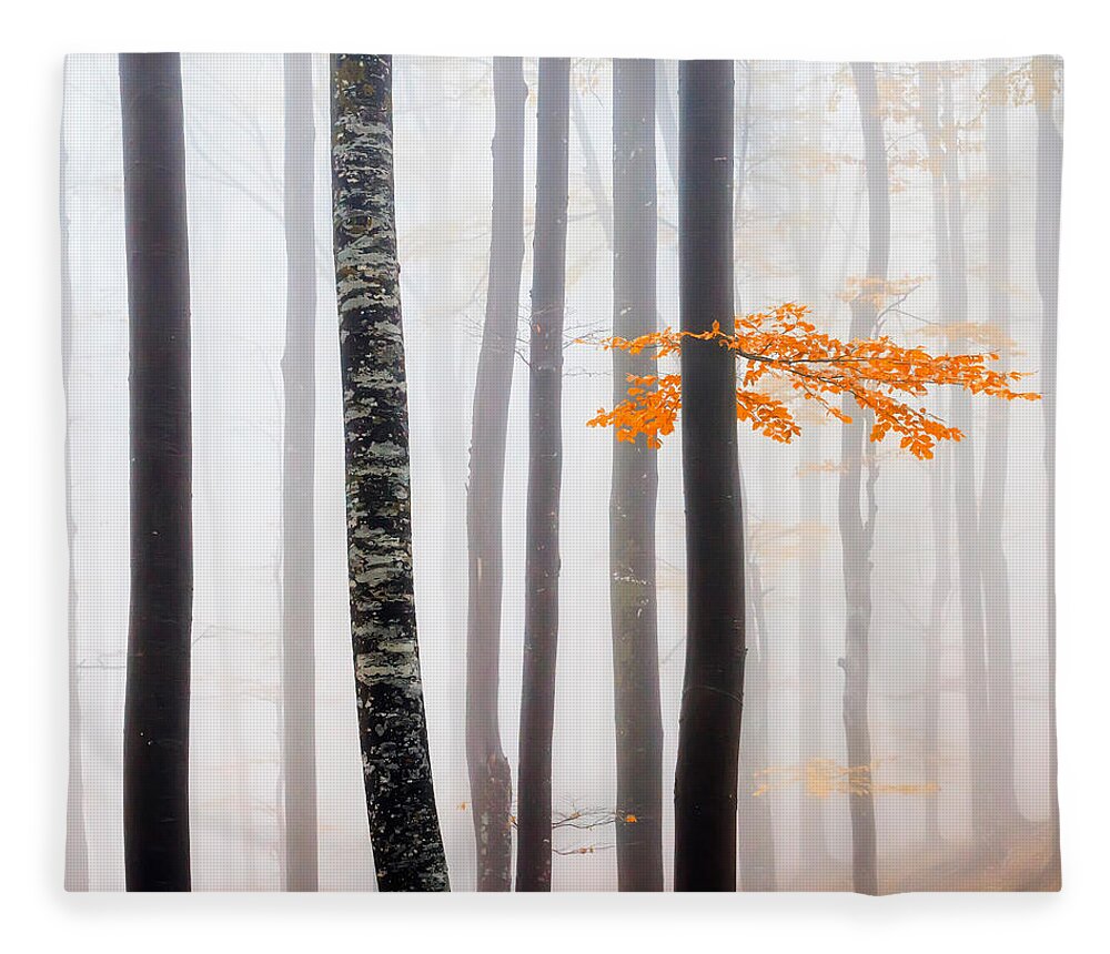 Balkan Mountains Fleece Blanket featuring the photograph Delicate Forest by Evgeni Dinev