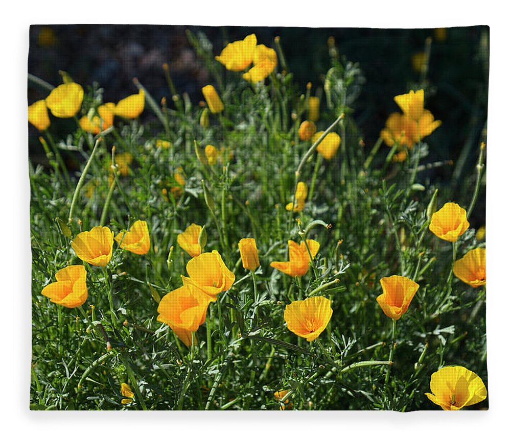 Yellow Fleece Blanket featuring the photograph Desert Spring by Lucinda Walter