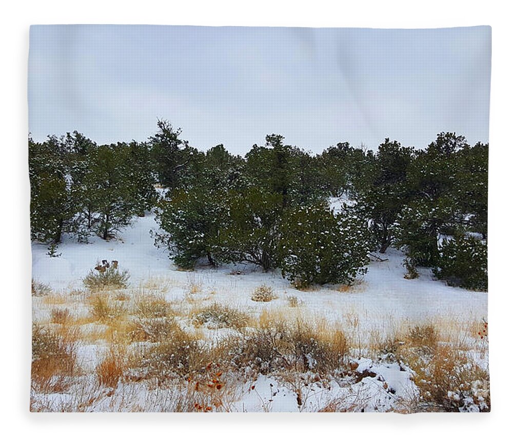 Southwest Landscape Fleece Blanket featuring the photograph Desert tree line by Robert WK Clark