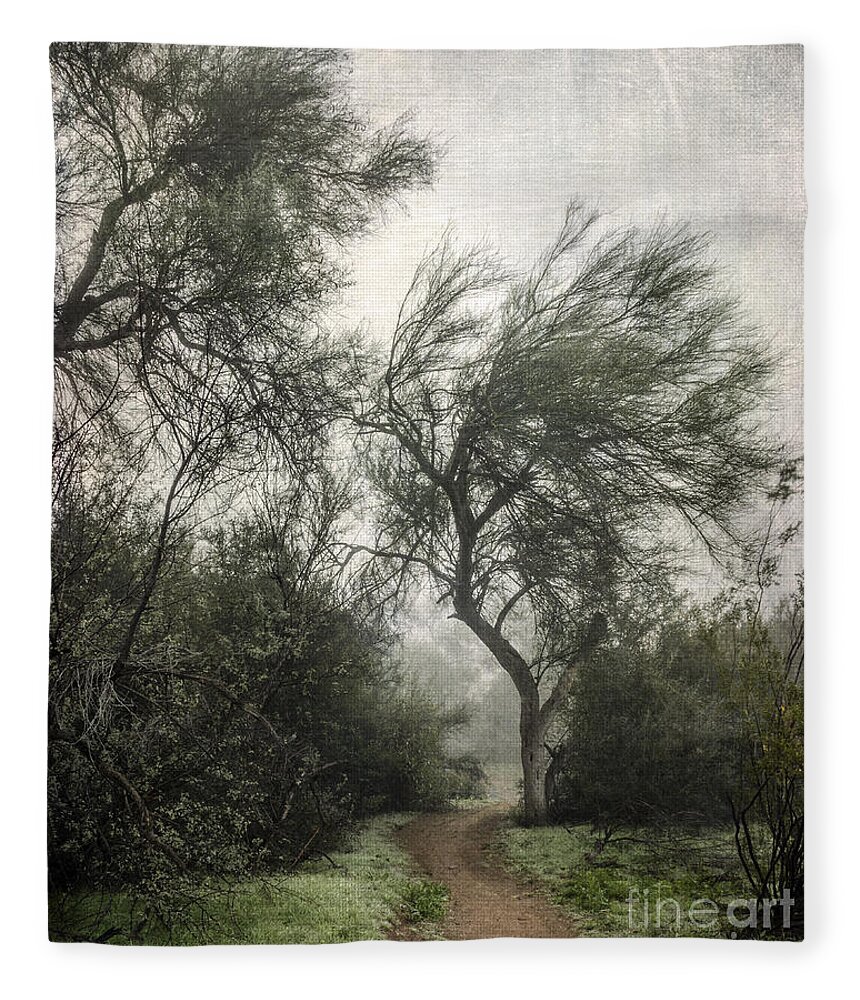 Desert Trees Fleece Blanket featuring the photograph Desert Trees in Fog by Tamara Becker