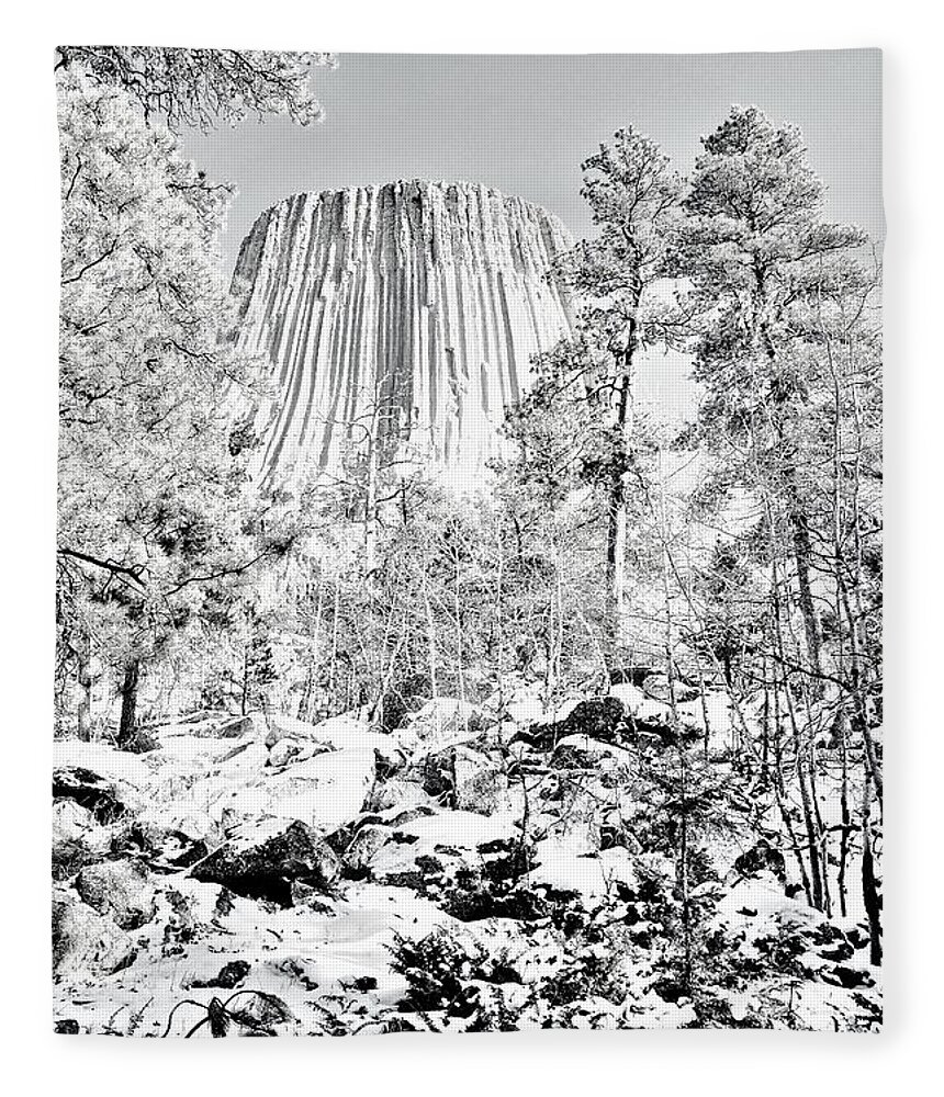 Devils Tower Fleece Blanket featuring the photograph Devils Tower Wyoming by Merle Grenz
