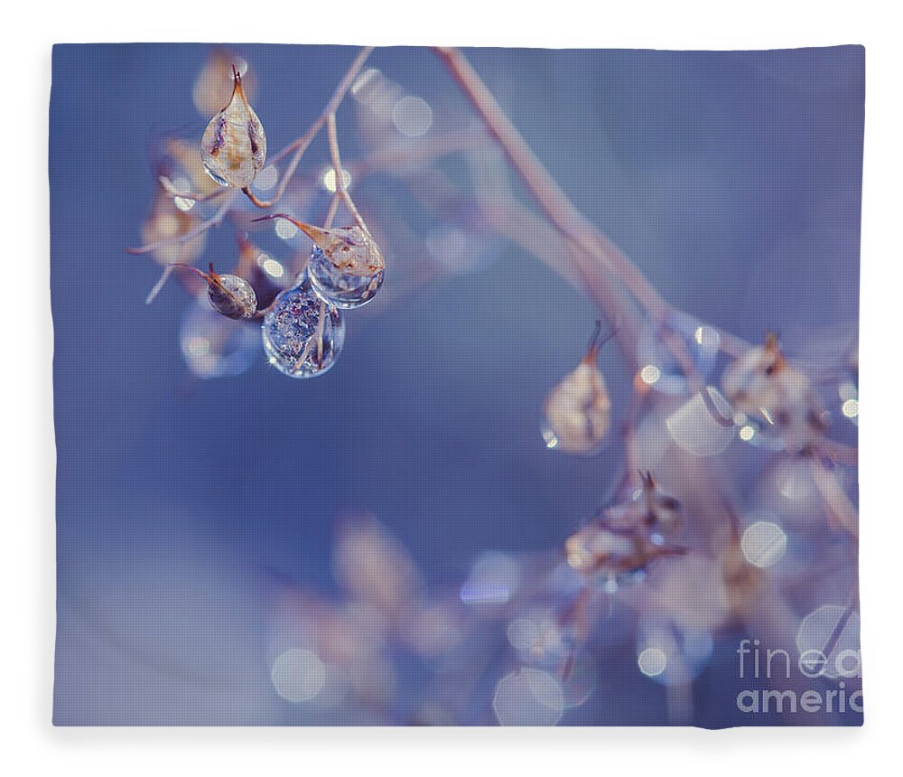 Dew Fleece Blanket featuring the photograph Dewdrops by Eva Lechner