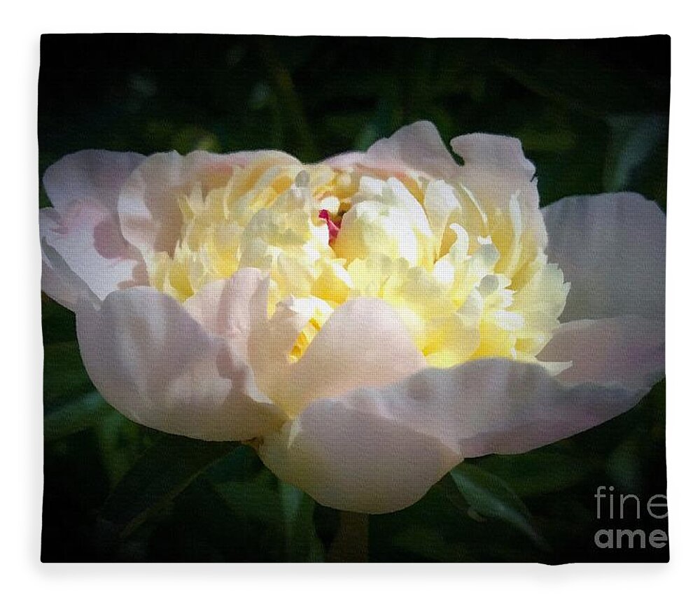 Digital Art Fleece Blanket featuring the digital art Digital Art White Peony Flower by Delynn Addams