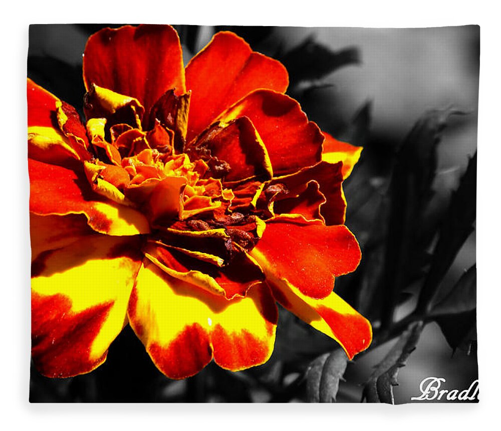 Selected Color Fleece Blanket featuring the photograph Disappointing Love by Bradley Dever