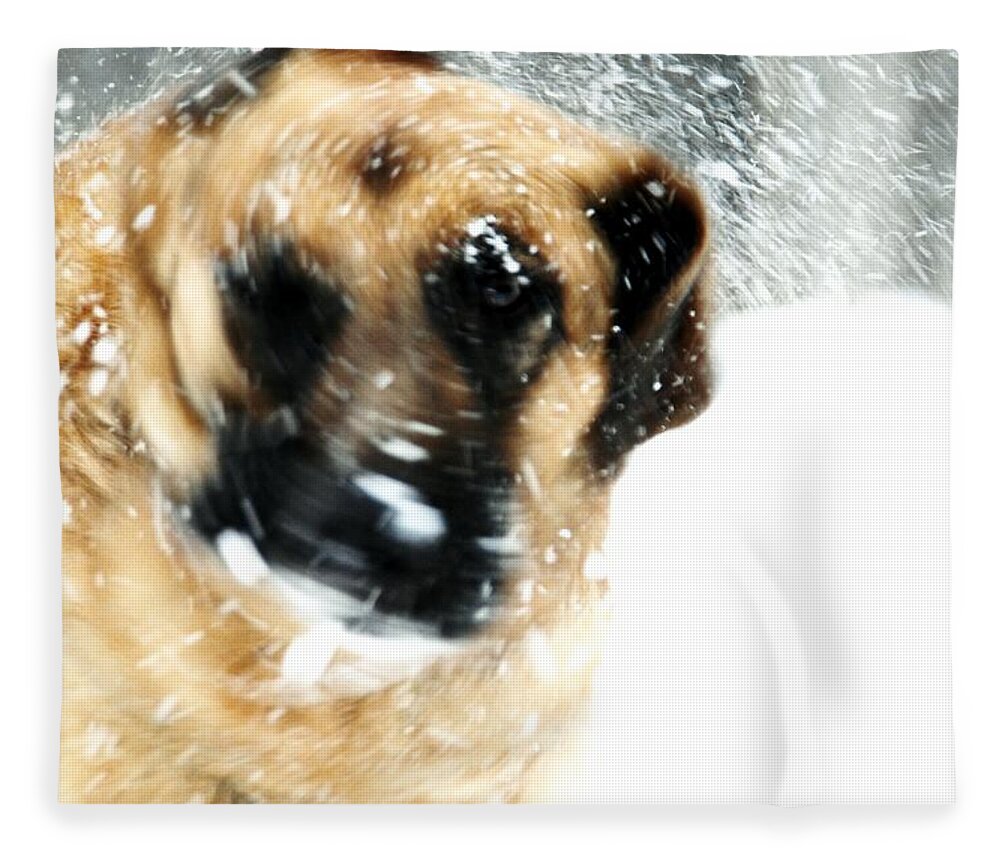 Animals Fleece Blanket featuring the photograph Dog Blizzard - German Shepherd by Angie Tirado