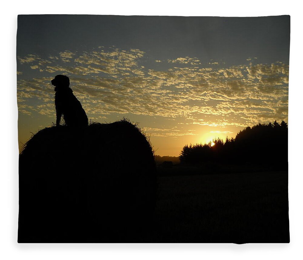 Dog Fleece Blanket featuring the photograph Dog on Hay Greeting Sunrise by Kent Lorentzen